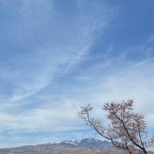 Meet your Posher, Anjali